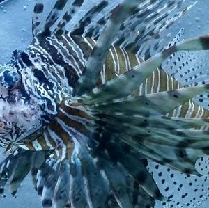 Meet your Posher, Derek